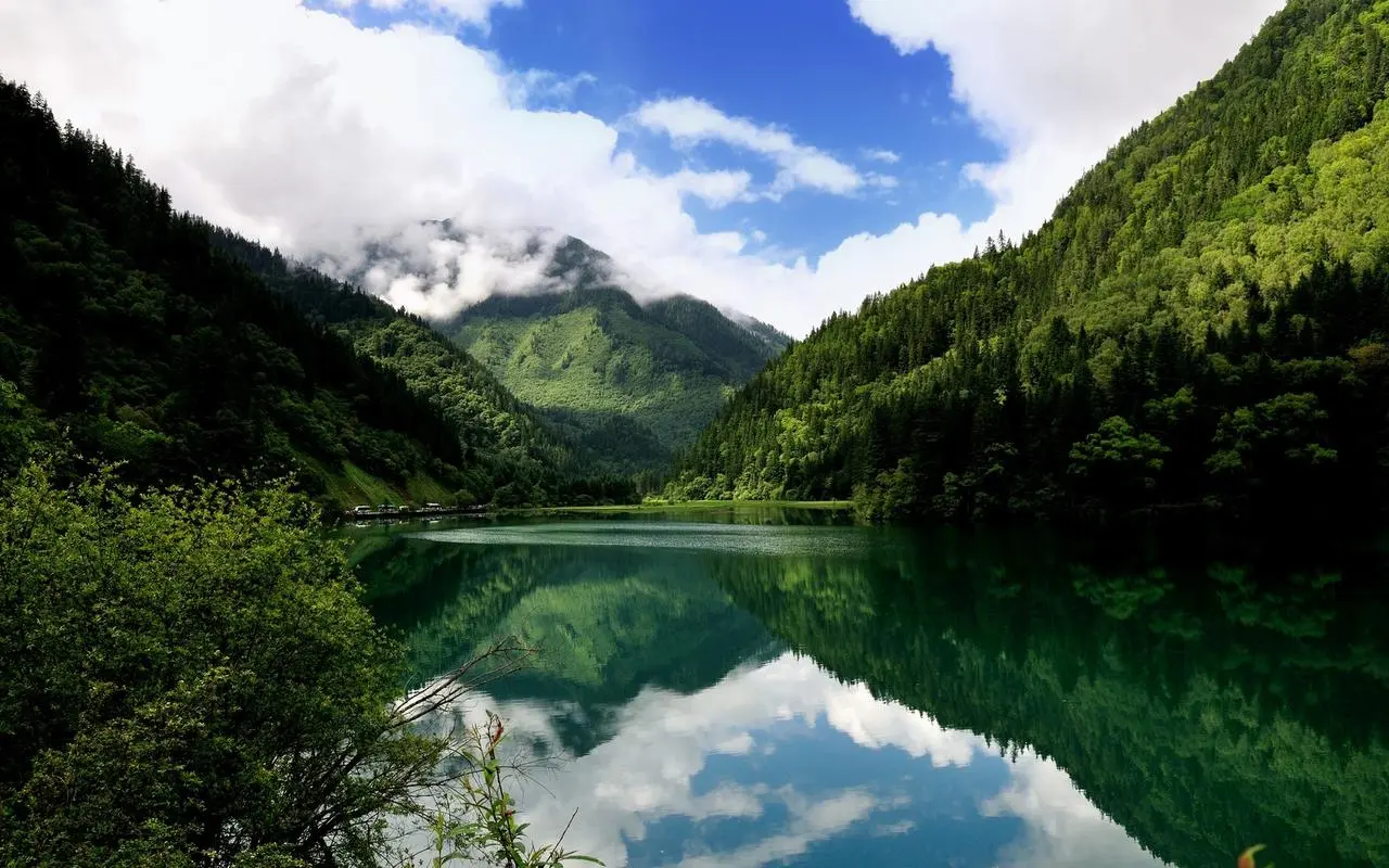 高端可靠性智能
